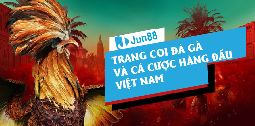 Jun88 - Trang Coi Đá Gà Và Cá Cược Hàng Đầu Việt Nam