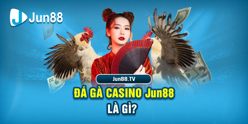 Đá gà casino Jun88 là gì? 